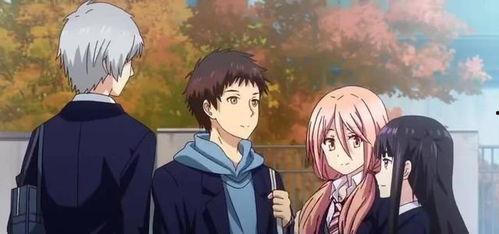 娱乐吃瓜酱纯爱战士,纯爱战士的甜蜜征程